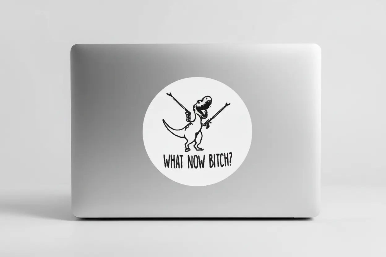 What now B****? Stickers and More by Matthia